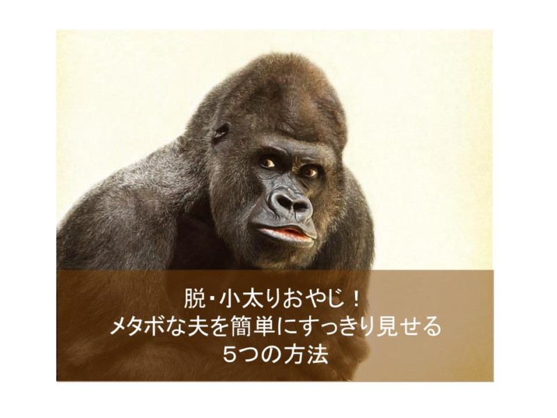 脱 小太りおやじ メタボな夫を簡単にすっきり見せる５つの方法 いろぬのかさね 東京 自由が丘